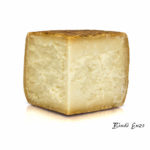 Pecorino Riserva Rigato - immagine 4